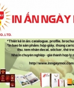 in Catalogue, in Tạp Chí, in Hộp Giấy, in Tờ Rơi, in Túi Giấy, in Thẻ Treo..