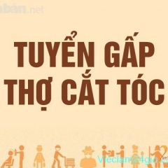 Tuyển Thợ Cắt Tóc Nam Nữ Ở Bình Tân
