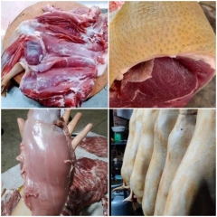 Cung Cấp Thịt Heo Rừng, Thịt Nai