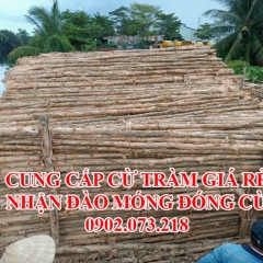 Chuyên Đào Móng, Đóng Cừ, Phá Dỡ Nhà