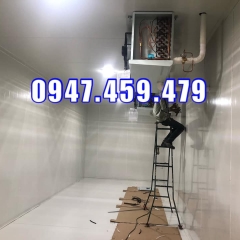 Dịch vụ sửa chữa, bảo trì và bảo dưỡng kho lạnh chất lượng tại Ankaco