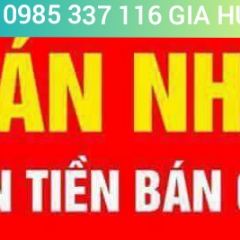 Chính chủ cần bán nhanh Căn hộ dịch vụ ngay Trần Não, Bình An, Quận 2