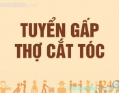 Tuyển Thợ Cắt Tóc Nam Nữ Ở Bình Tân
