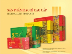 ✅ Top 10 xưởng in túi giấy giá rẻ, uy tín, thiết kế đẹp và chất lượng nhất tại TP Hồ Chí Minh ✅