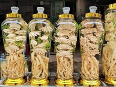 Bình Rượu Nếp Nguyên Chất Ngâm Sâm Đông Trùng Đinh Lăng