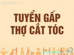 Tuyển Thợ Cắt Tóc Nam Nữ Ở Bình Tân
