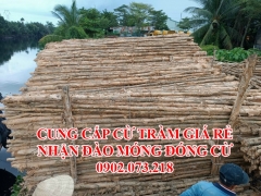 Chuyên Đào Móng, Đóng Cừ, Phá Dỡ Nhà