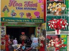 Cửa Hoàng Hoa Tươi Đẹp ở Tân Phú